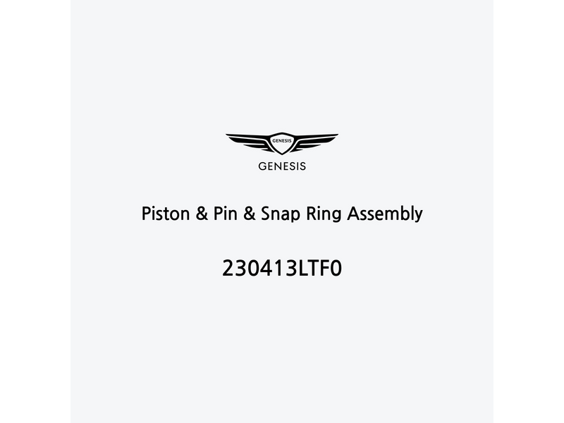 piston-and-pin-and-snap-ring-assembly-230413ltf0-de