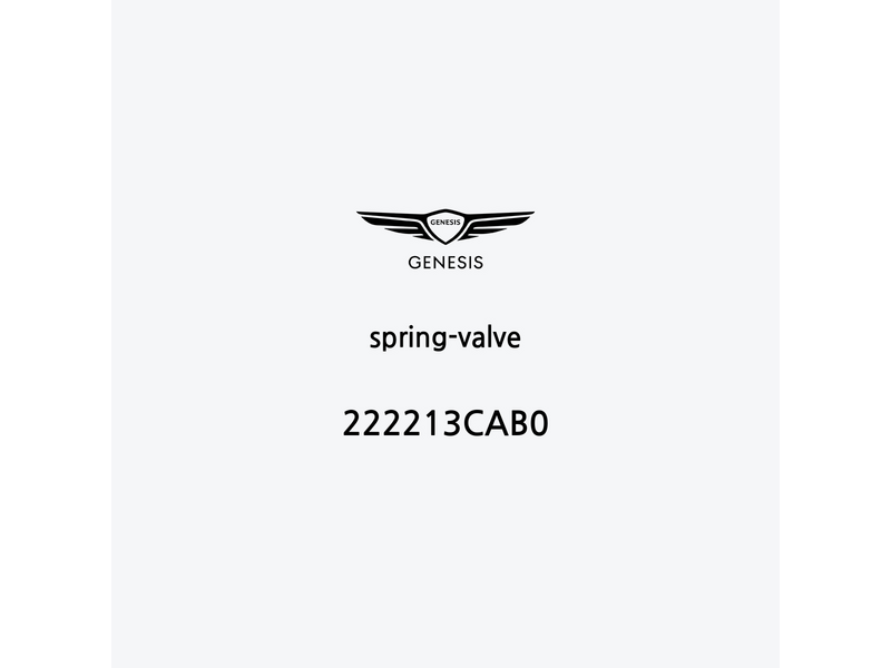 spring-valve-222213cab0-pt