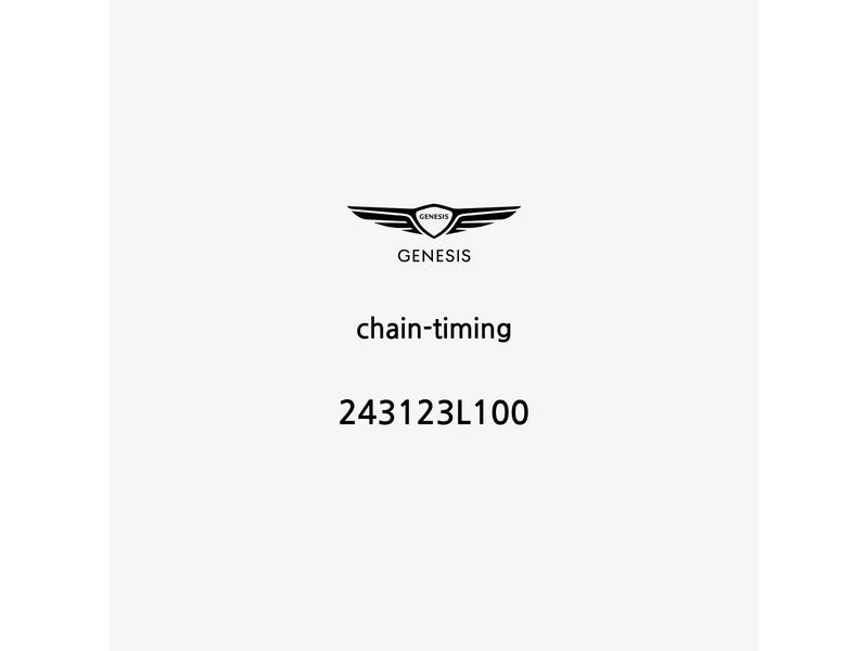 chain-timing-243123l100-pt