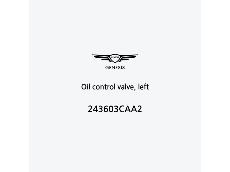 oil-control-valve-left-243603caa2-es