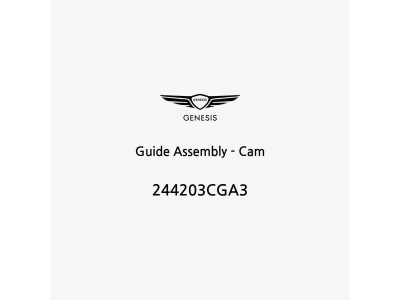 guide-assembly-cam-244203cga3-it