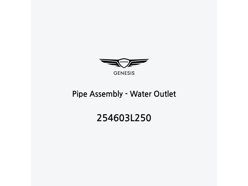 pipe-assembly-water-outlet-254603l250