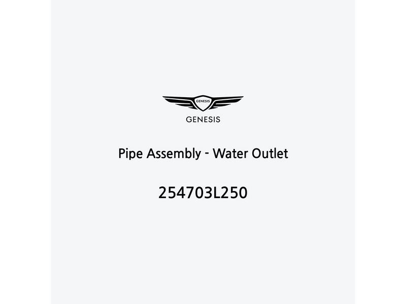 pipe-assembly-water-outlet-254703l250