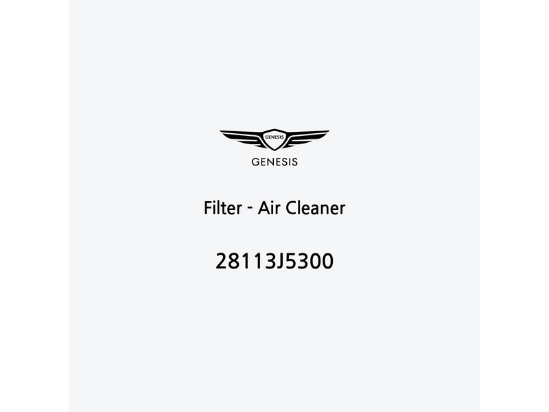 filter-air-cleaner-28113j5300