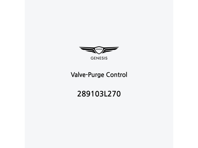 valve-purge-control-289103l270-es