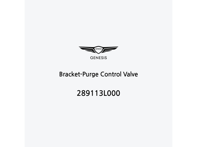 bracket-purge-control-valve-289113l000