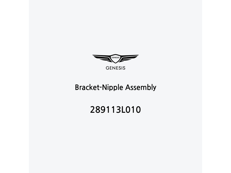 bracket-nipple-assembly-289113l010-ar