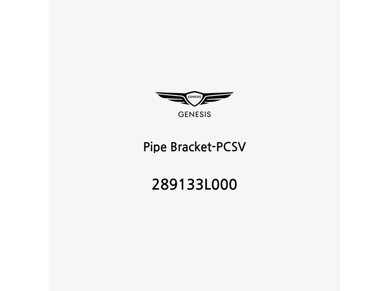 pipe-bracket-pcsv-289133l000-ar