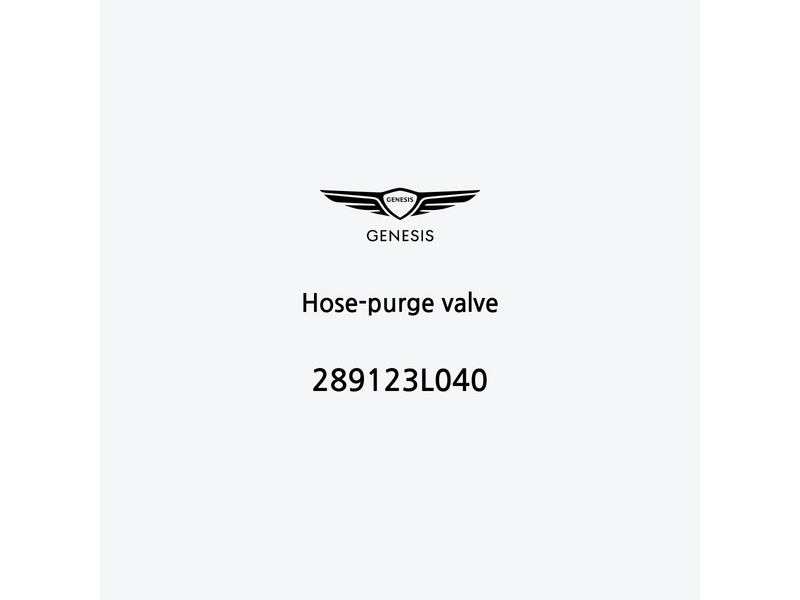 hose-purge-valve-289123l040-ja