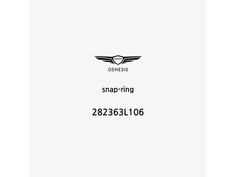 snap-ring-282363l106-it