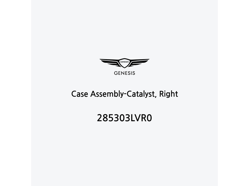 case-assembly-catalyst-right-285303lvr0-de