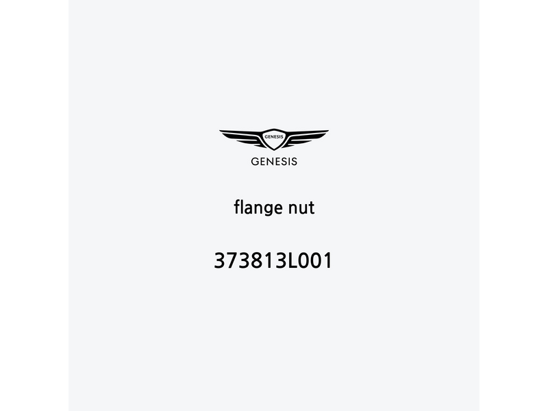 flange-nut-373813l001