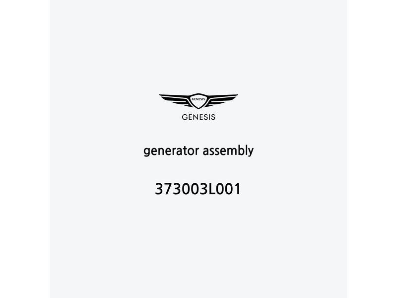 generator-assembly-373003l001