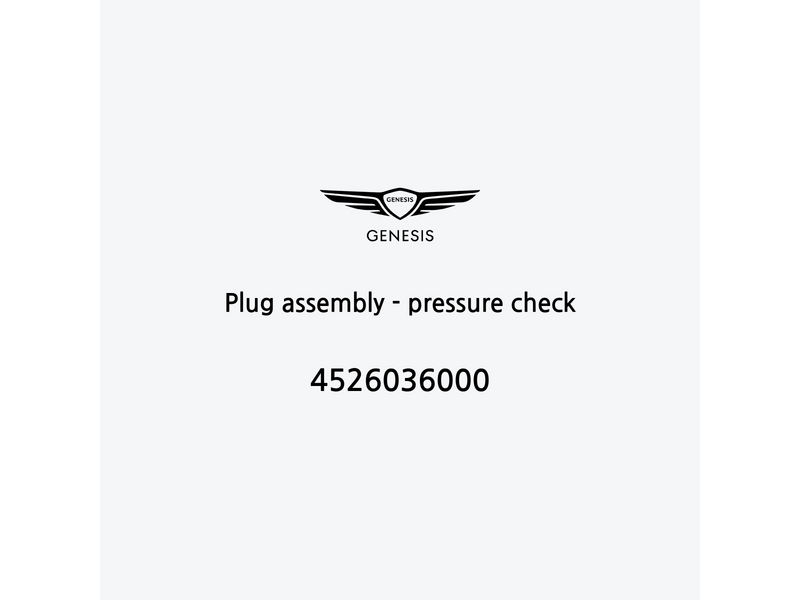 plug-assembly-pressure-check-4526036000-de