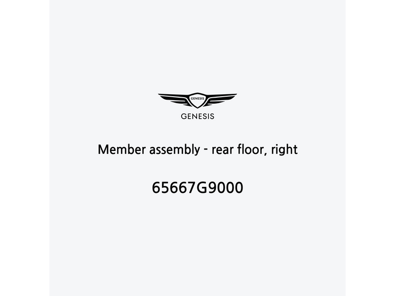 member-assembly-rear-floor-right-65667g9000-ja