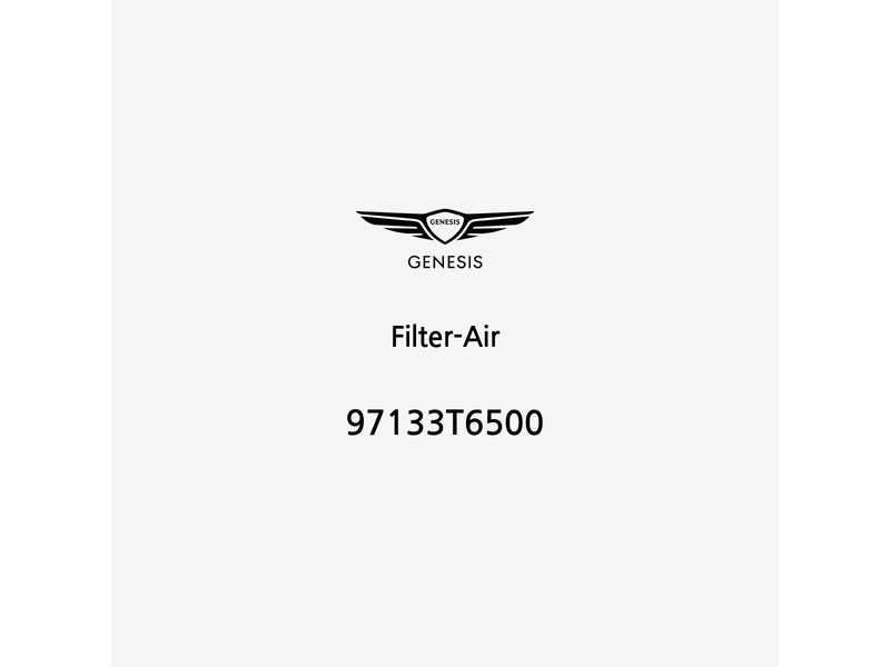 filter-air-97133t6500-fr