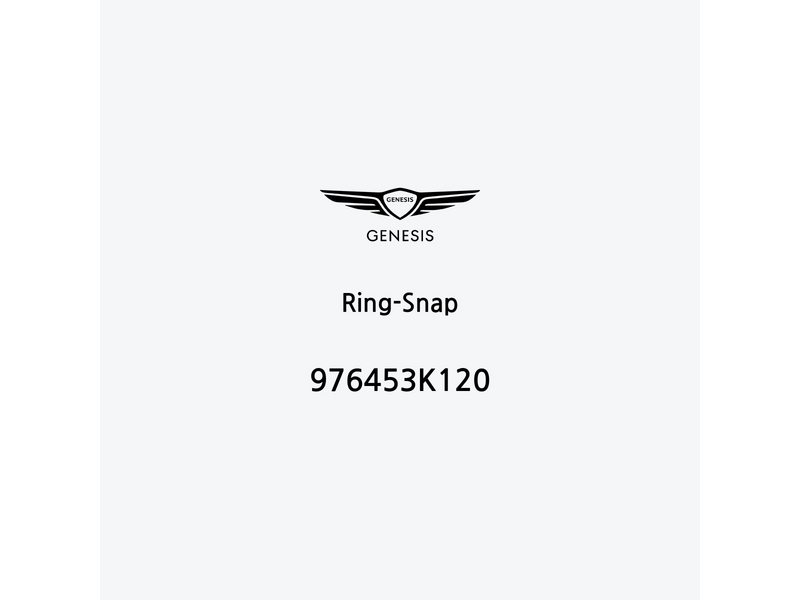 ring-snap-976453k120-de