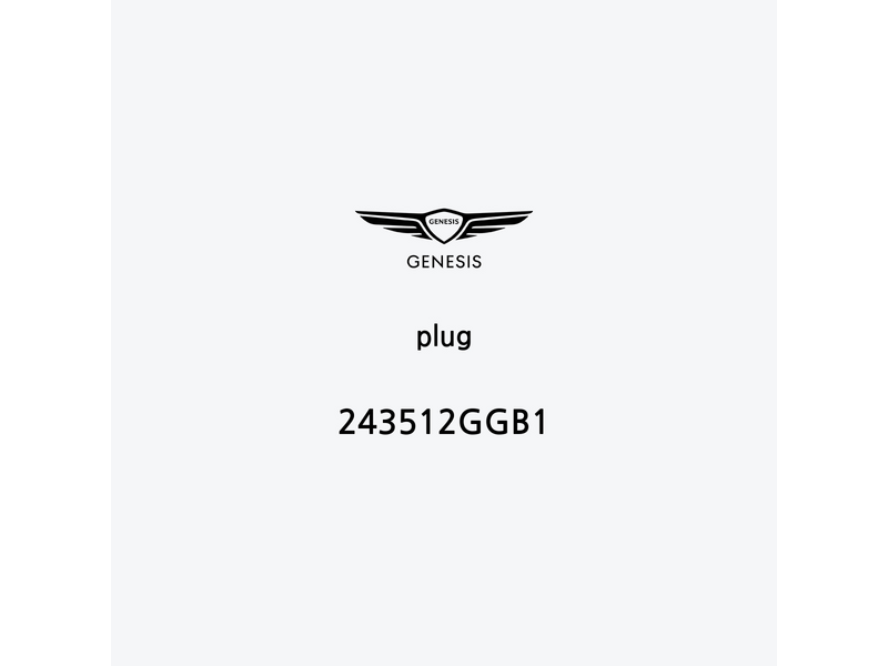 plug-243512ggb1