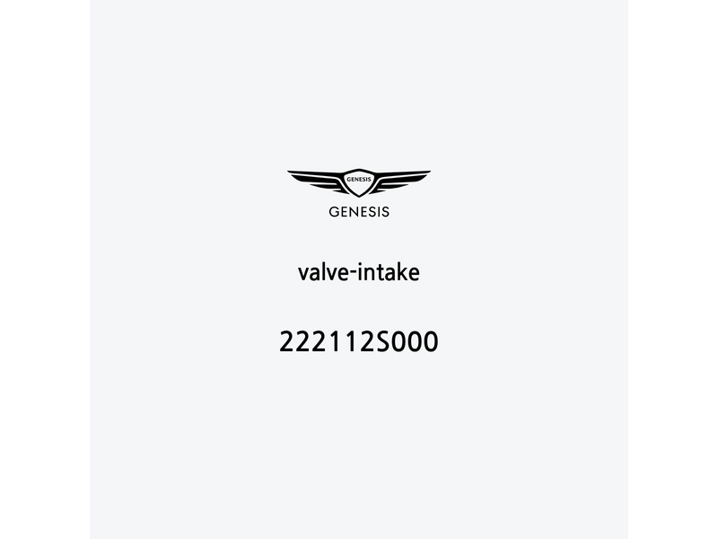 valve-intake-222112s000