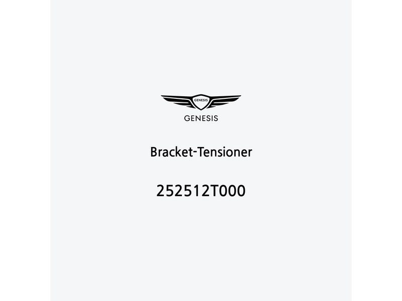 bracket-tensioner-252512t000-pt