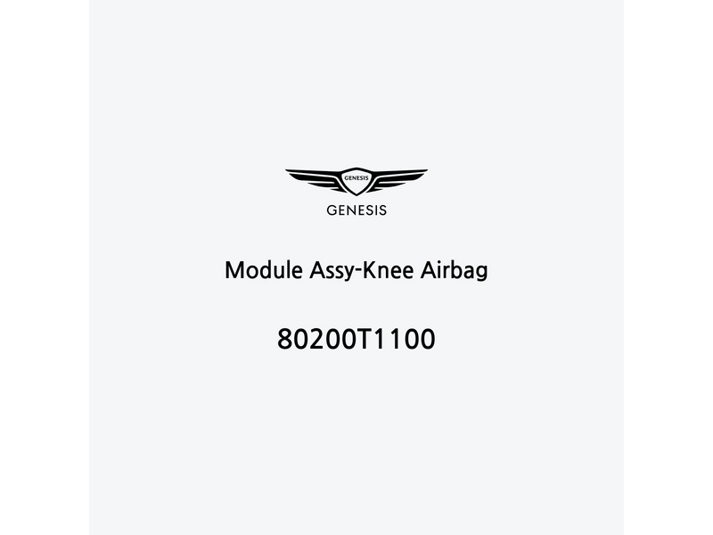 module-assy-knee-airbag-80200t1100