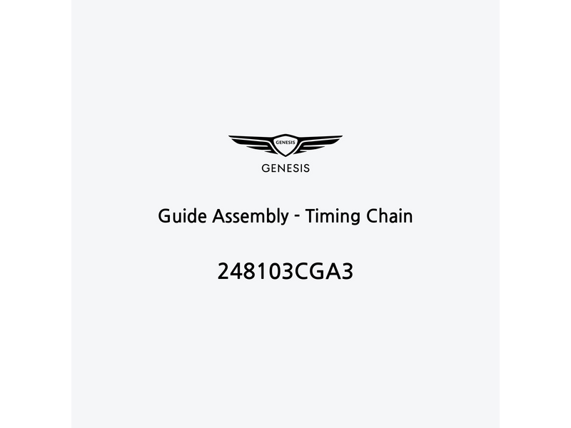 guide-assembly-timing-chain-248103cga3-es