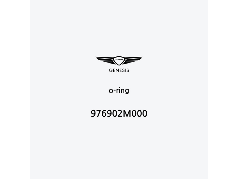 o-ring-976902m000-it