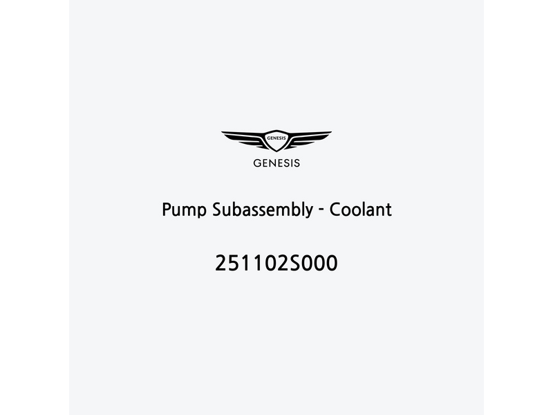 pump-subassembly-coolant-251102s000-de