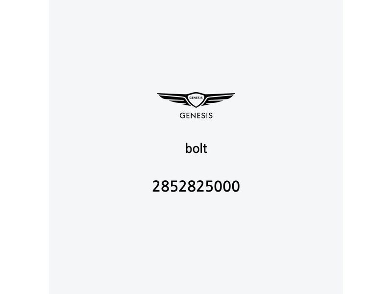 bolt-2852825000-de