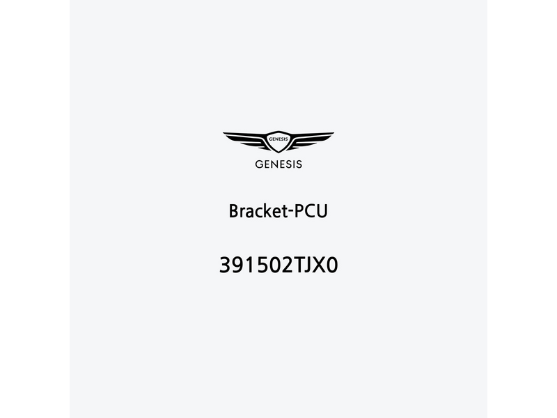 bracket-pcu-391502tjx0-de