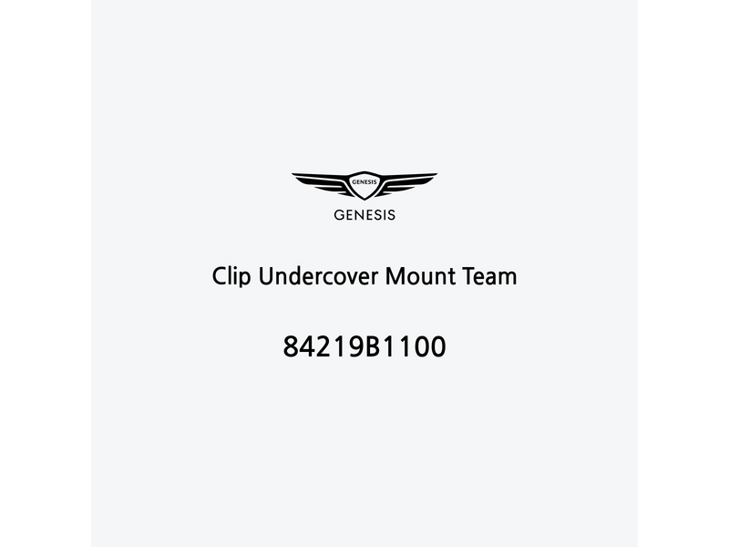 clip-undercover-mount-team-84219b1100-ar