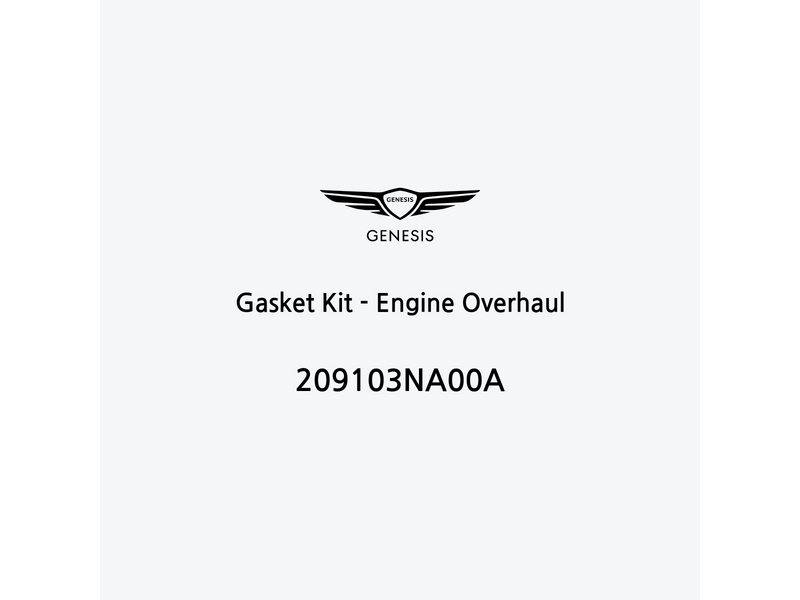 gasket-kit-engine-overhaul-209103na00a-fr