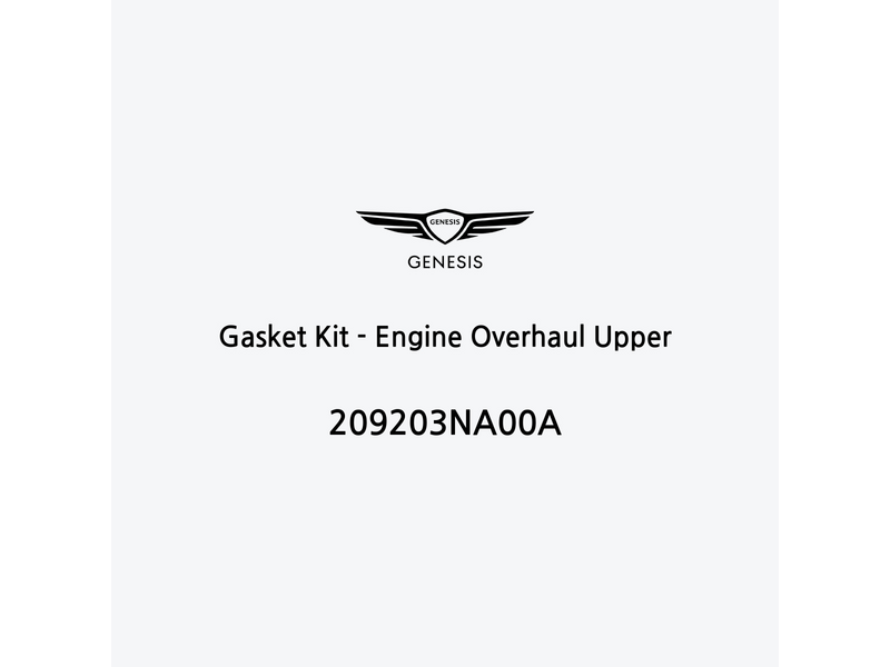 gasket-kit-engine-overhaul-upper-209203na00a-de