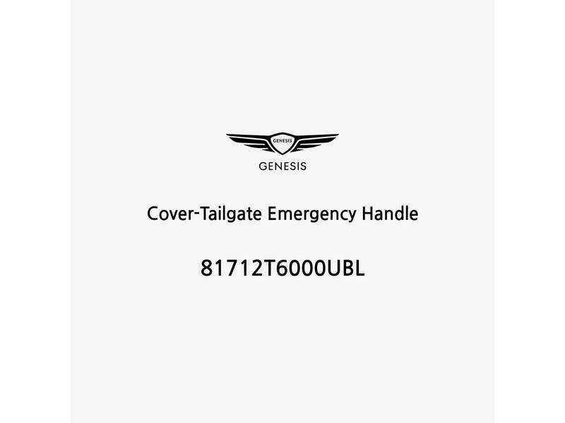 cover-tailgate-emergency-handle-81712t6000ubl-ar