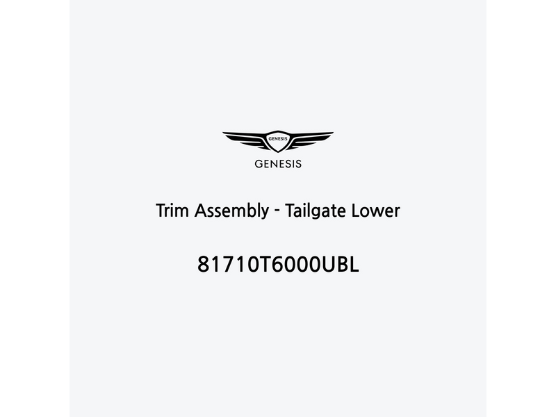 trim-assembly-tailgate-lower-81710t6000ubl-pt