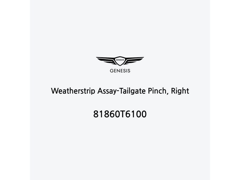 weatherstrip-assay-tailgate-pinch-right-81860t6100-fr