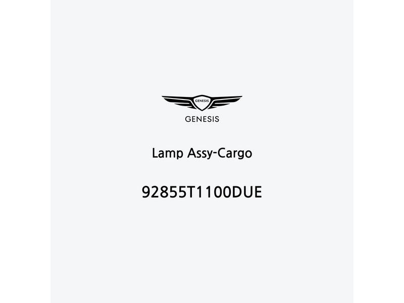 lamp-assy-cargo-92855t1100due-de