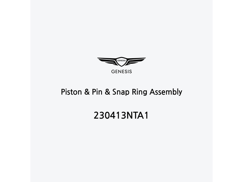 piston-and-pin-and-snap-ring-assembly-230413nta1-it