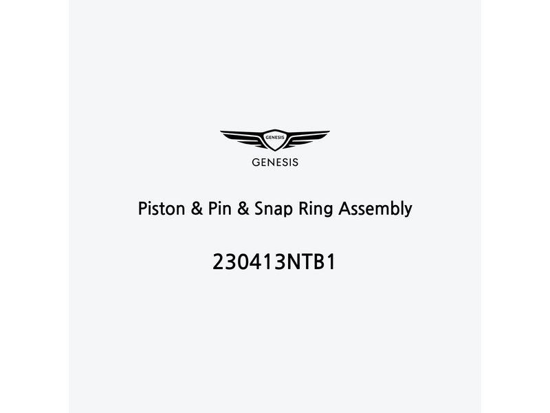 piston-and-pin-and-snap-ring-assembly-230413ntb1-ar