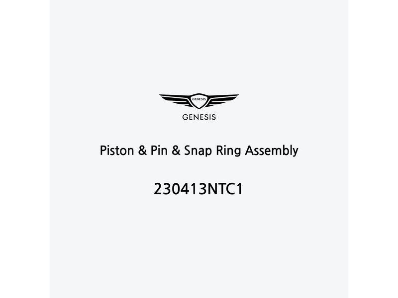 piston-and-pin-and-snap-ring-assembly-230413ntc1-fr