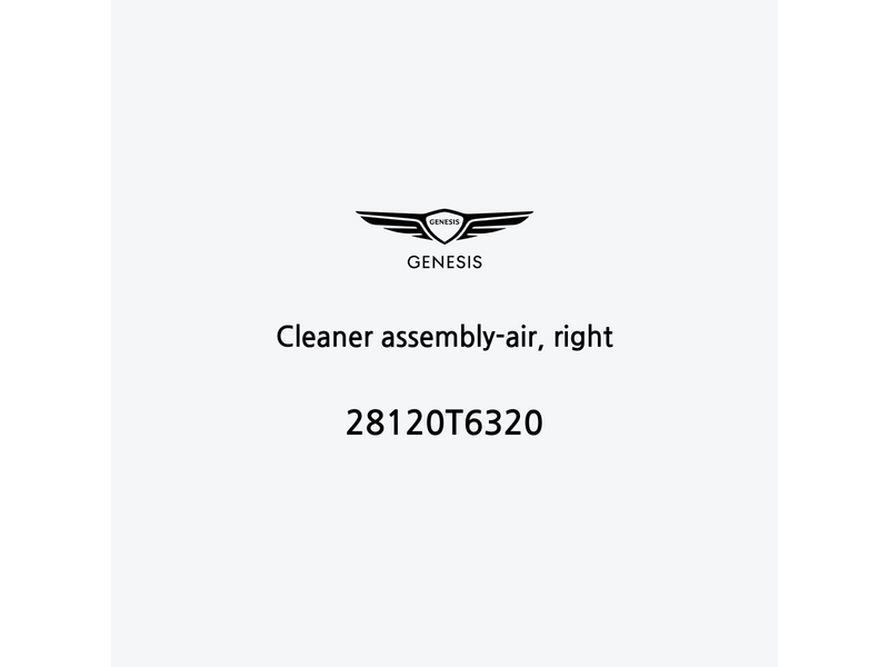 cleaner-assembly-air-right-28120t6320-fr