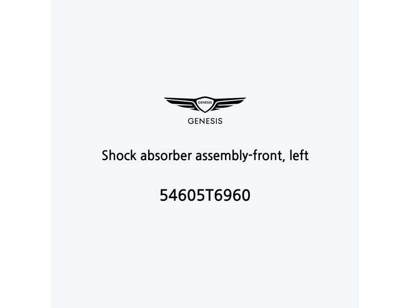 shock-absorber-assembly-front-left-54605t6960-it