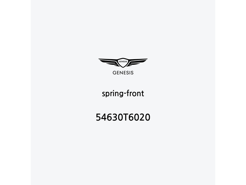 spring-front-54630t6020-de