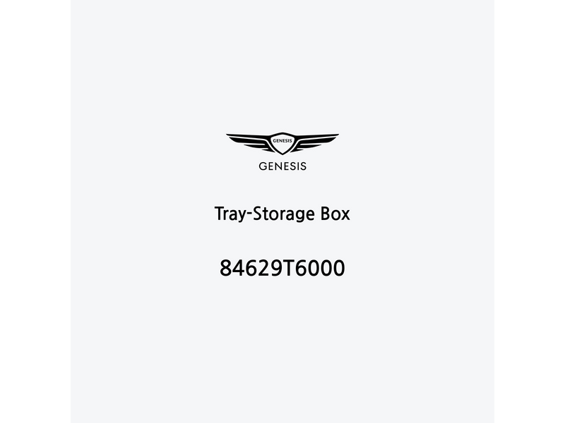 tray-storage-box-84629t6000-ar