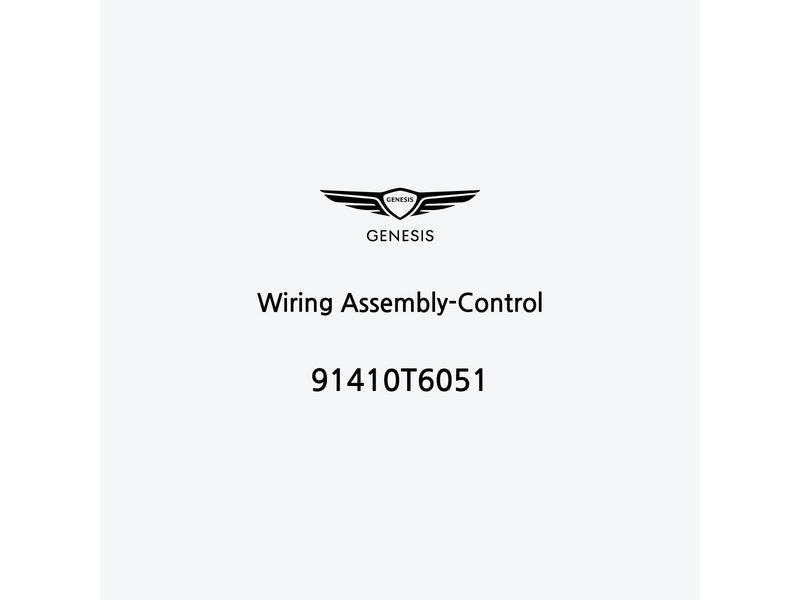 wiring-assembly-control-91410t6051-pt