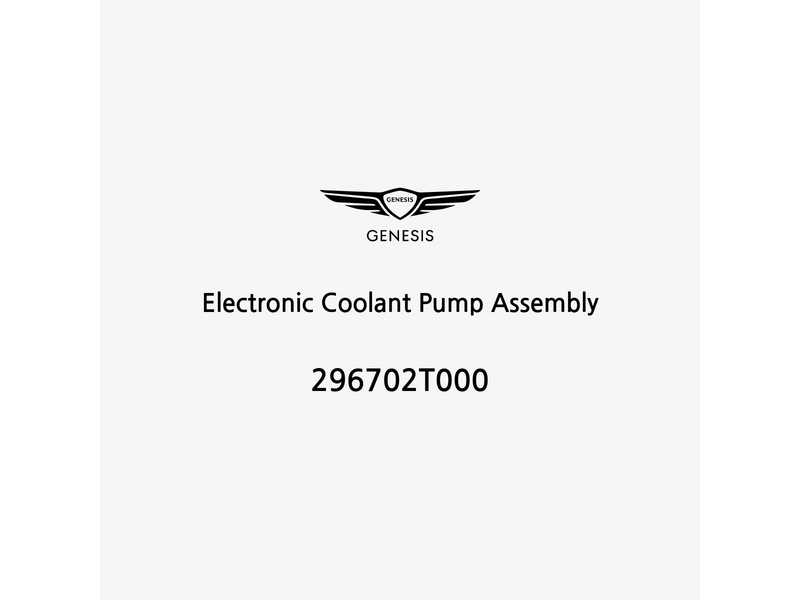 electronic-coolant-pump-assembly-296702t000-ar