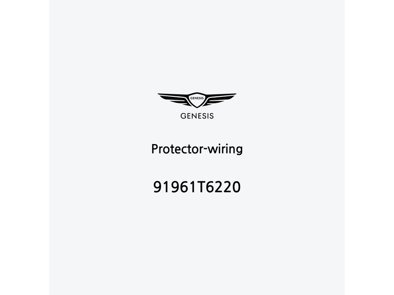 protector-wiring-91961t6220