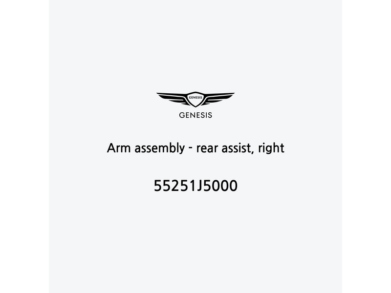 arm-assembly-rear-assist-right-55251j5000-ar