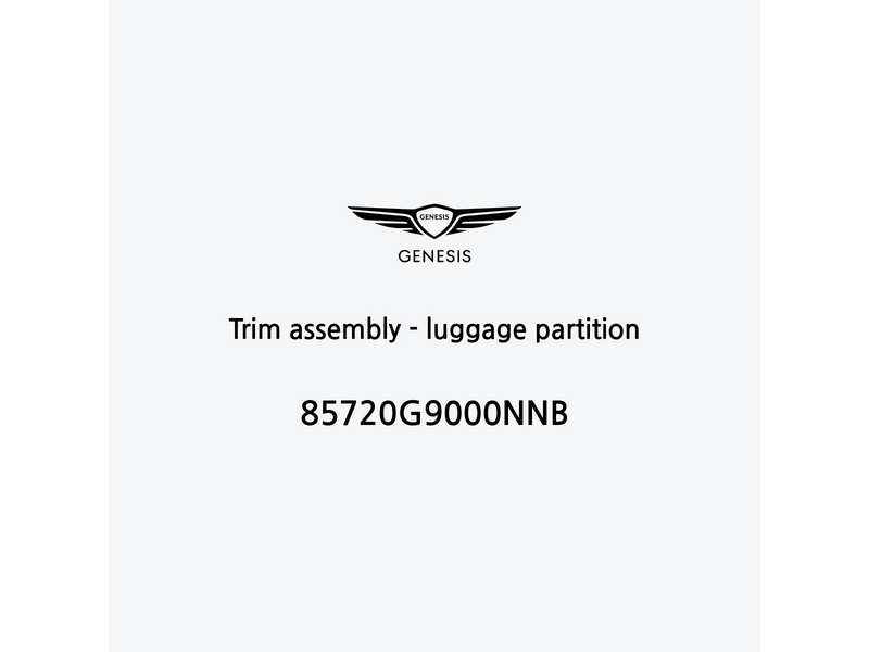 trim-assembly-luggage-partition-85720g9000nnb-it