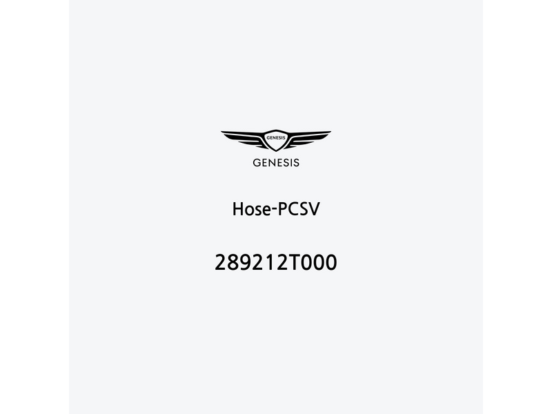 hose-pcsv-289212t000-es